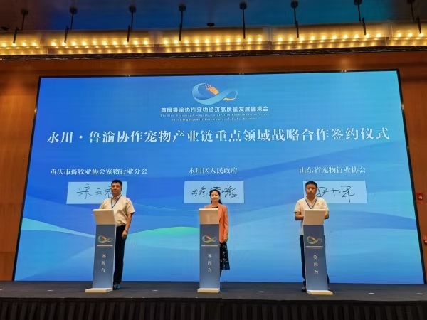 签约仪式现场。任峰摄