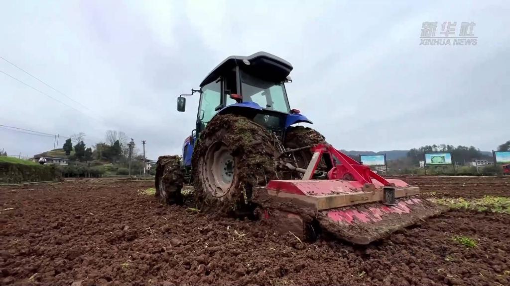 重庆涪陵：科技助力春耕 为粮食稳产打下基础